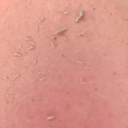 Gant Exfoliant